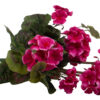 PELARGONIA AMARANTOWA RABATOWA STOJĄCA KWIATY SZTUCZNE 46CM - obrazek 3