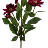 CHRYZANTEMA DALIA DĄBEK BURGUND 73 CM - obrazek 2