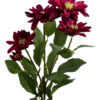 CHRYZANTEMA DALIA DĄBEK BURGUND 73 CM - obrazek 3