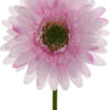GERBERA RÓŻOWA LT PINK GAŁĄZKA 46 CM ŁODYGOWA