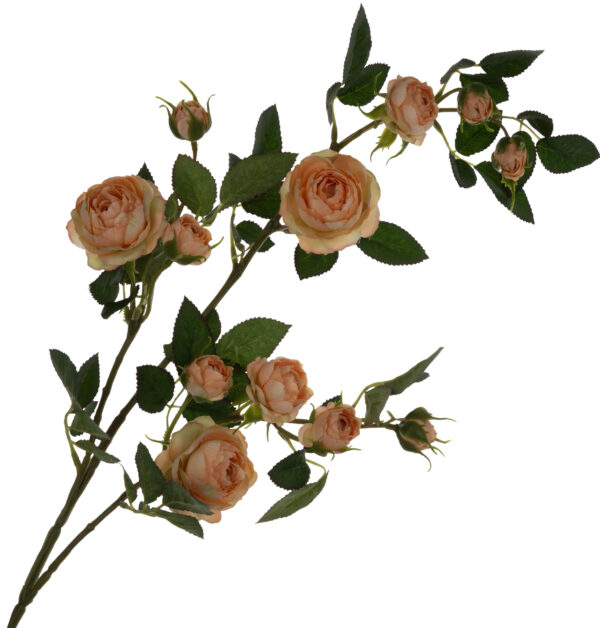 DZIKA RÓŻA GAŁĄZKA BRZOSKWINIOWA 80 CM REAL PEACH