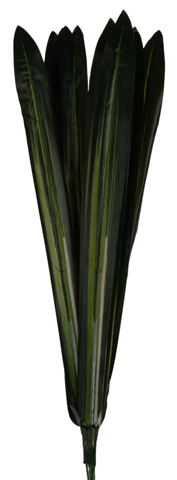 12 X LIŚĆ LIŚCIE SZTUCZNE SZABLA DRACENA 62 CM - obrazek 2