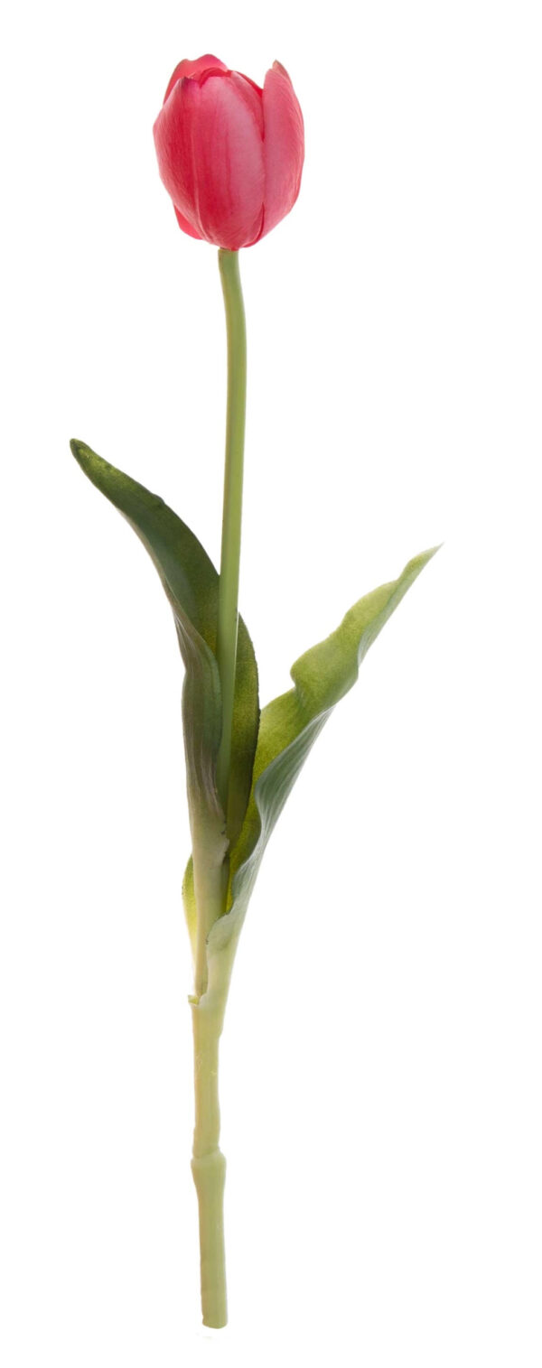 TULIPAN C. RÓŻ GUMOWY SYLIKONOWY
