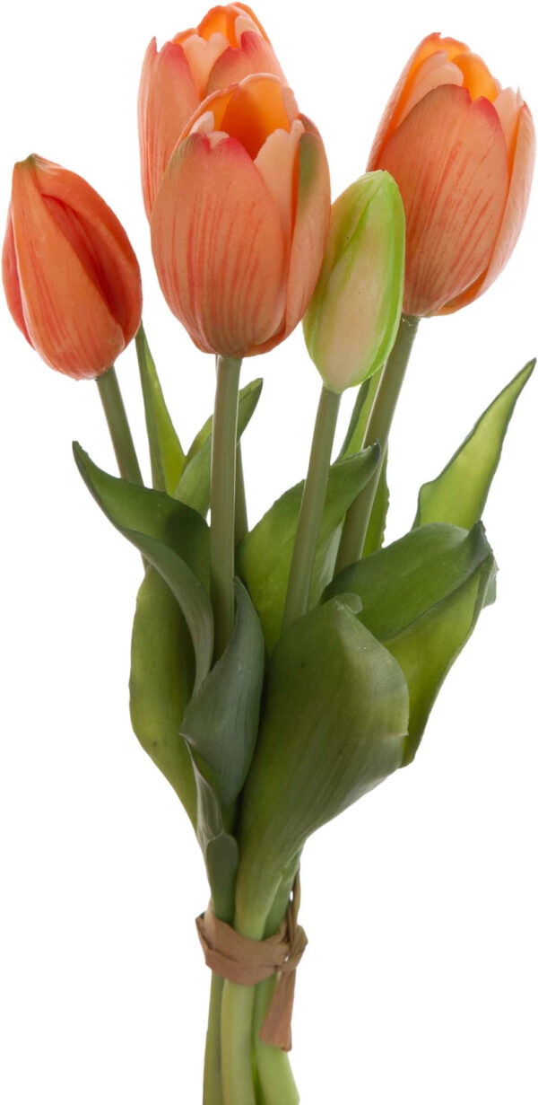 5X TULIPAN POMARAŃCZOWY BUKIET TULIPANÓW GUMA - obrazek 2