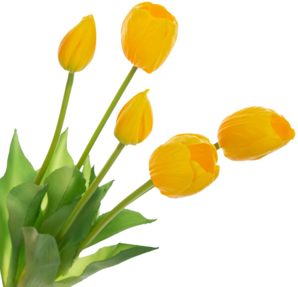5X TULIPAN ŻÓŁTY BUKIET TULIPANÓW GUMA PIANKA - obrazek 2