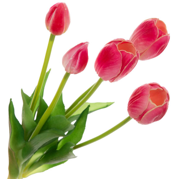 5X TULIPAN C. RÓŻ BUKIET TULIPANÓW GUMA PIANKA - obrazek 2