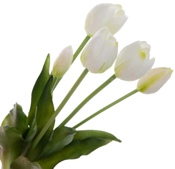 5X TULIPAN BUKIET TULIPANÓW BIAŁY ZIELONY WIOSNA - obrazek 2