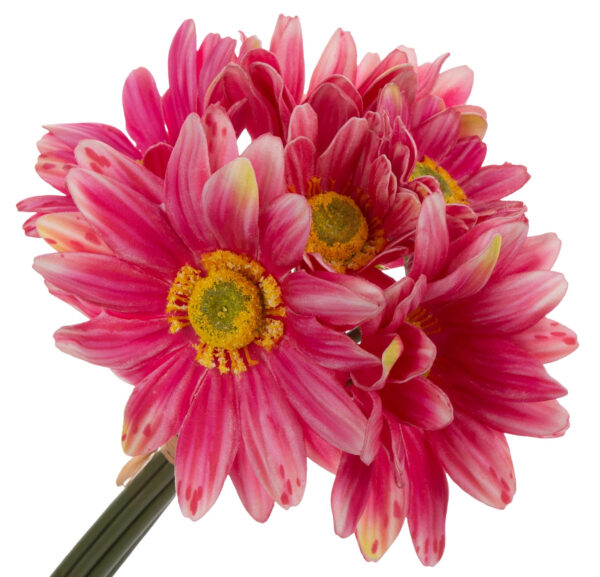 GERBERA BUKIET 7 KWIATÓW PIANKA