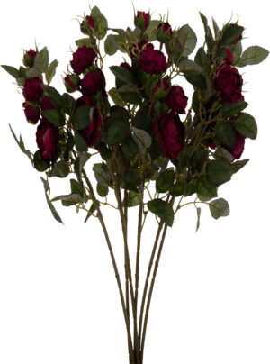 DZIKA RÓŻA BURGUND BUKIET 6 GAŁĄZEK 50 CM BURGUND GREEN