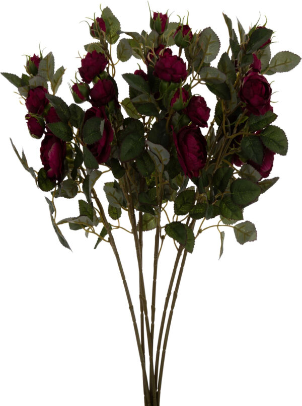 DZIKA RÓŻA BURGUND BUKIET 6 GAŁĄZEK 50 CM BURGUND GREEN