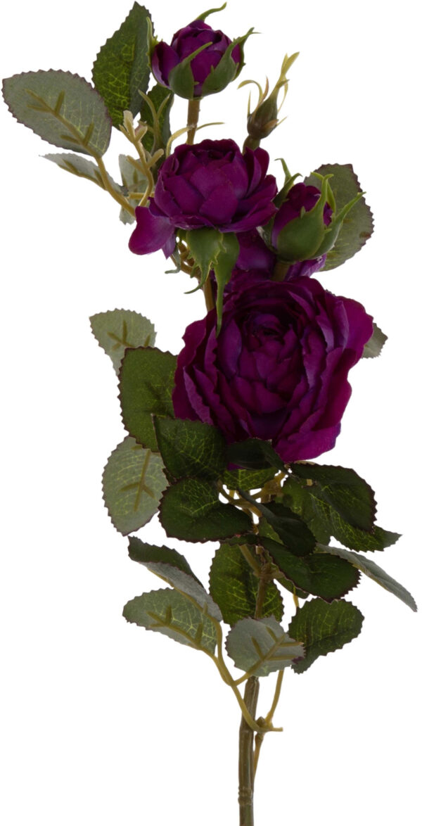 DZIKA RÓŻA FIOLETOWA BUKIET 6 GAŁĄZEK 50 CM PURPLE - obrazek 2