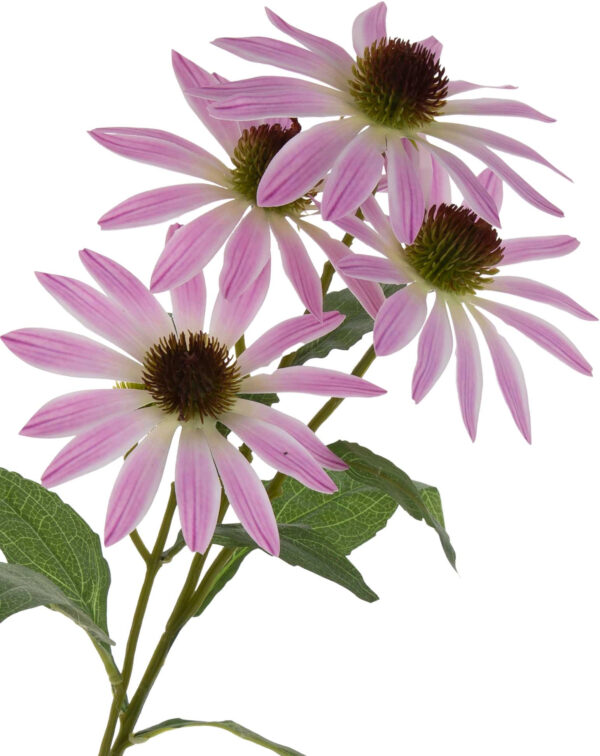 RUDBEKIA JEŻÓWKA WRZOSOWA GAŁĄZKA KWIATY SZTUCZNE 73 CM - obrazek 2