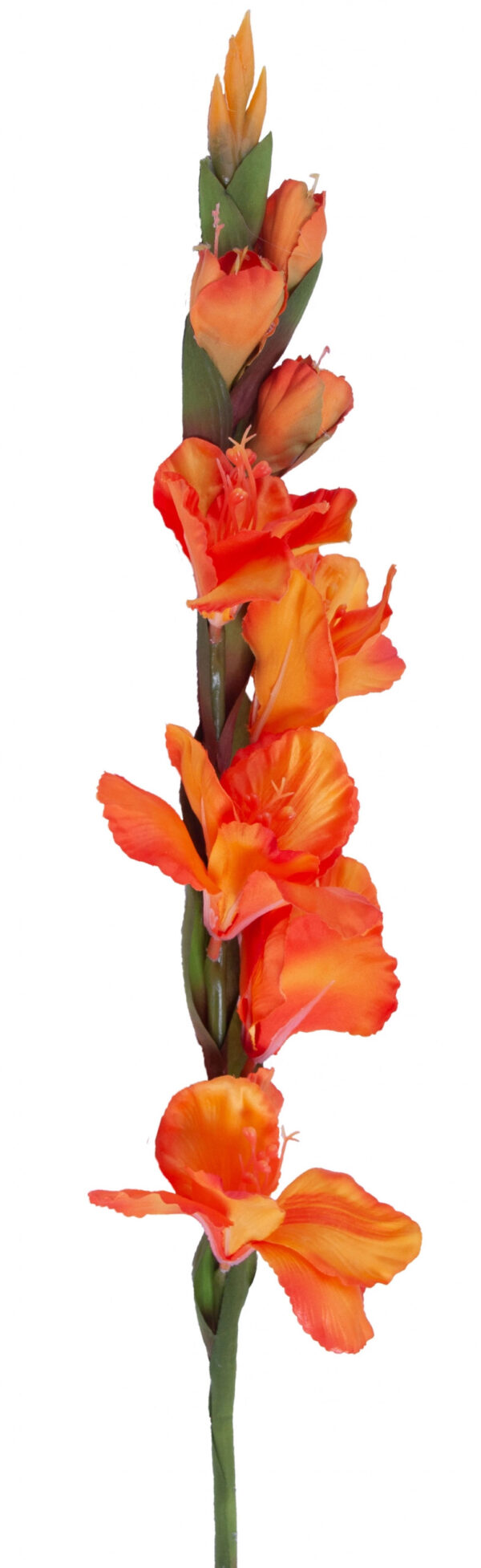 MIECZYK GLADIOLA POMARAŃCZOWY 85 CM JAK ŻYWY
