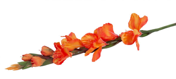 MIECZYK GLADIOLA POMARAŃCZOWY 85 CM JAK ŻYWY - obrazek 2