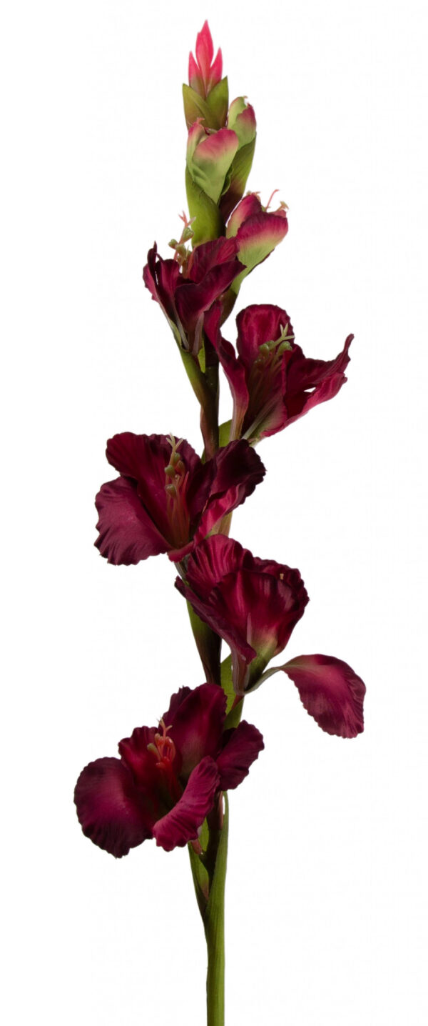 MIECZYK GLADIOLA BURGUND 85 CM JAK ŻYWY