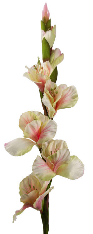 MIECZYK GLADIOLA KREM RÓŻ ZIELEŃ 85 CM JAK ŻYWY