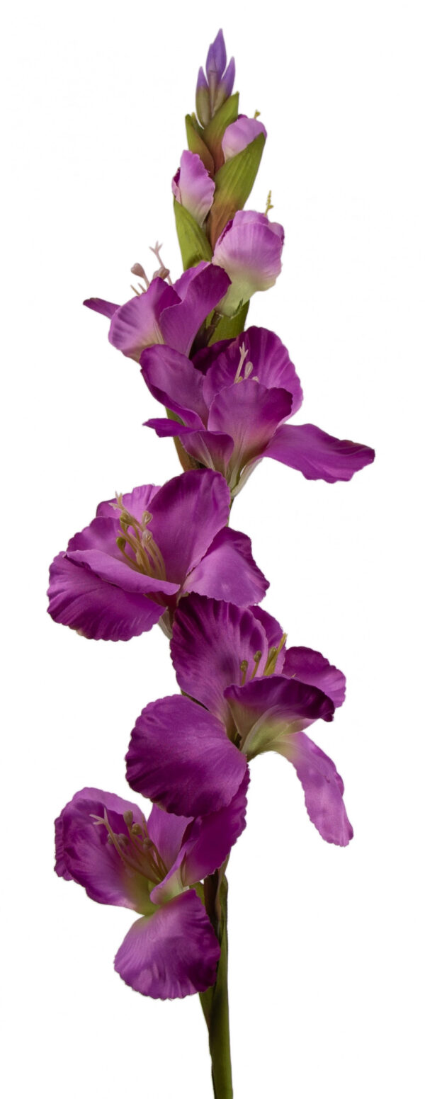 MIECZYK GLADIOLA FIOLET 85 CM JAK ŻYWY