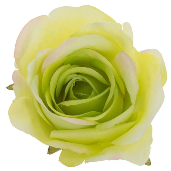 RÓŻA GŁÓWKA WYROBOWA SWEET GREEN 12 SZT.