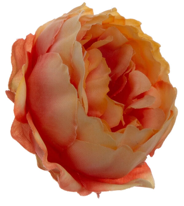 24X PEONIA PEŁNIK JASKIER GŁÓWKA WYROBOWA