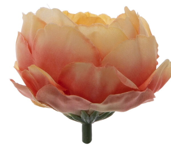 24X PEONIA PEŁNIK JASKIER GŁÓWKA WYROBOWA - obrazek 2