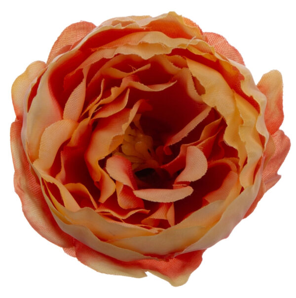 24X PEONIA PEŁNIK JASKIER GŁÓWKA WYROBOWA - obrazek 3
