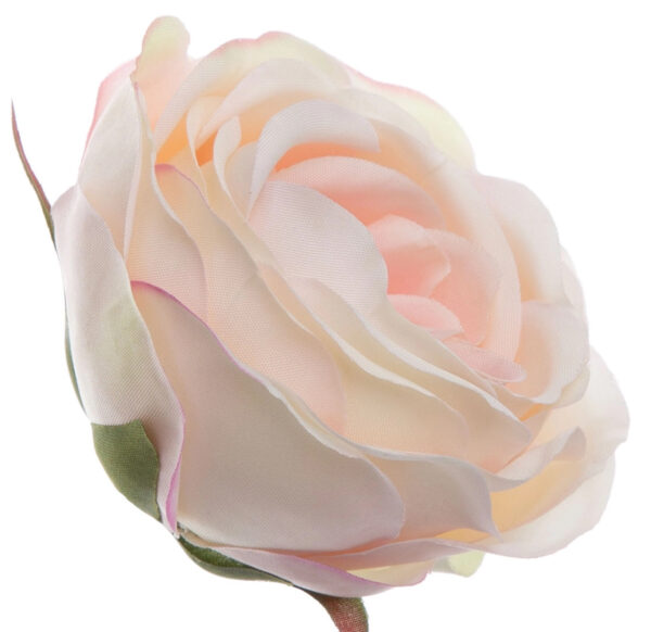 RÓŻA WYROBOWA DELICATE APRICOT GŁÓWKA KWIATOWA 24 SZT.