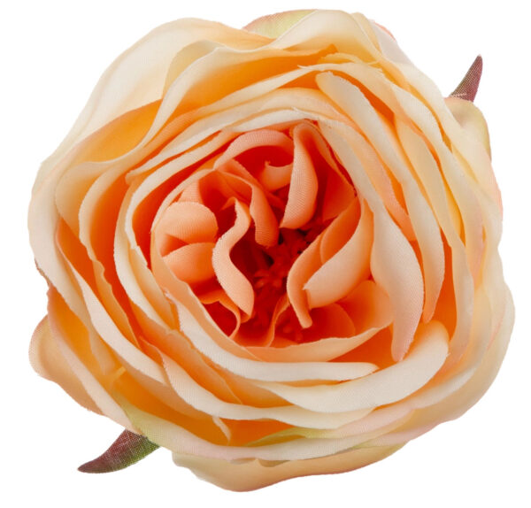 RÓŻA WYROBOWA REAL PEACH GŁÓWKA KWIATOWA 24 SZT.
