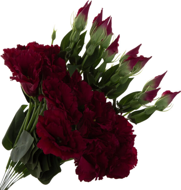 12X EUSTOMA FUKSJA GAŁĄZKA 48 CM