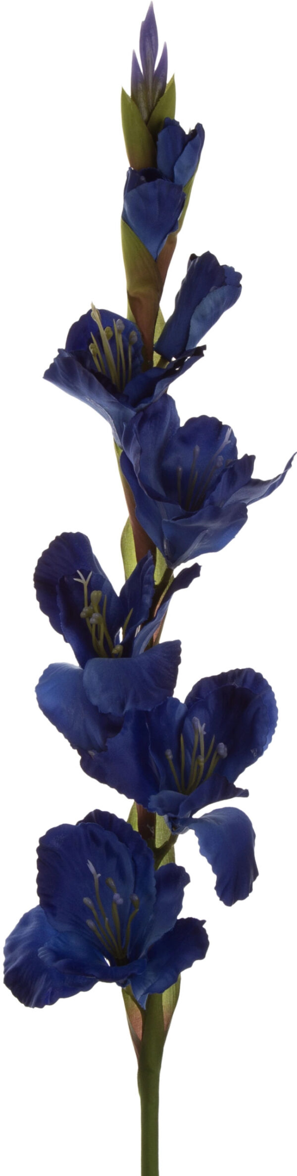 MIECZYK GLADIOLA NIEBIESKI DR BLUE 85 CM JAK ŻYWY