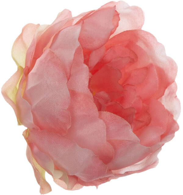 24X PEONIA PEŁNIK JASKIER GŁÓWKA WYROBOWA RÓŻOWA PEACH