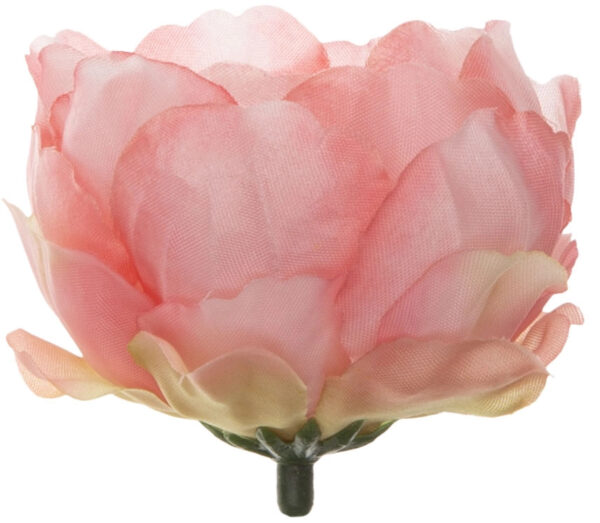 24X PEONIA PEŁNIK JASKIER GŁÓWKA WYROBOWA RÓŻOWA PEACH - obrazek 2
