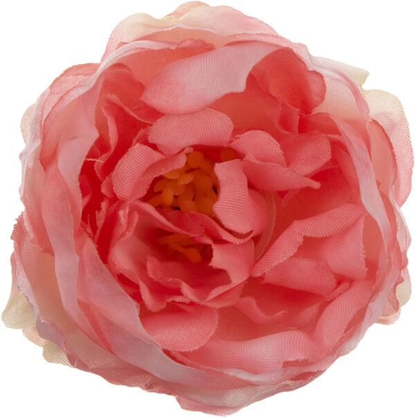24X PEONIA PEŁNIK JASKIER GŁÓWKA WYROBOWA RÓŻOWA PEACH - obrazek 3