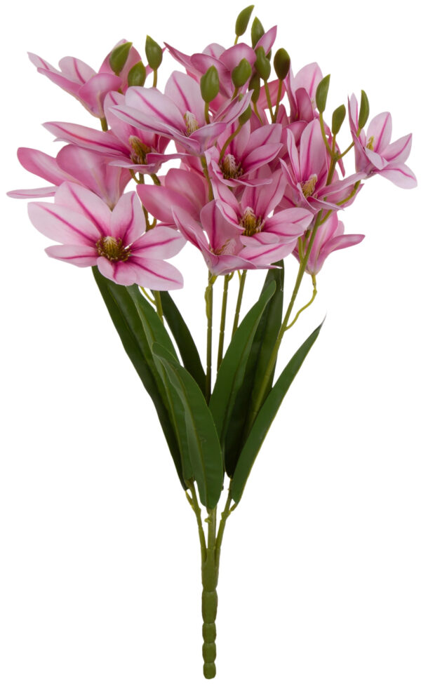 MAGNOLIA JASNY RÓŻ CIEMNY RÓŻ BUKIET