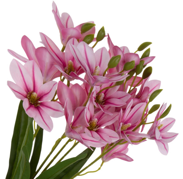MAGNOLIA JASNY RÓŻ CIEMNY RÓŻ BUKIET - obrazek 2