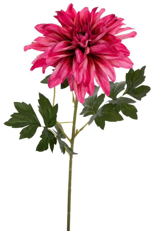 DALIA AMARANTOWA 63 CM GAŁĄZKA