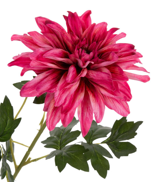 DALIA AMARANTOWA 63 CM GAŁĄZKA - obrazek 2