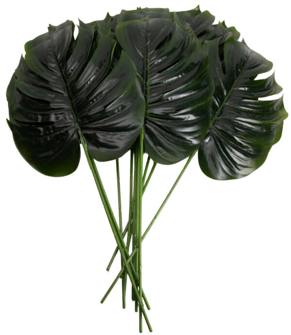 MONSTERA LIŚĆ ZIELONY 12X 44 CM DODATEK - obrazek 3