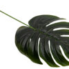 MONSTERA LIŚĆ ZIELONY 12X 39 CM DODATEK