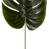 MONSTERA LIŚĆ ZIELONY 12X 39 CM DODATEK - obrazek 2