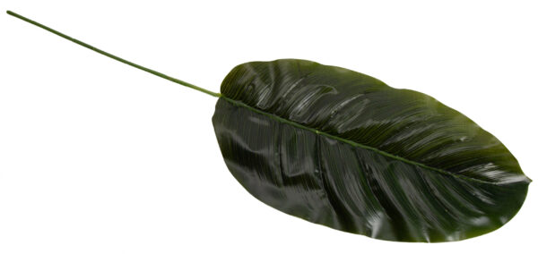 BANAN LIŚĆ ZIELONY 12X 67 CM DODATEK