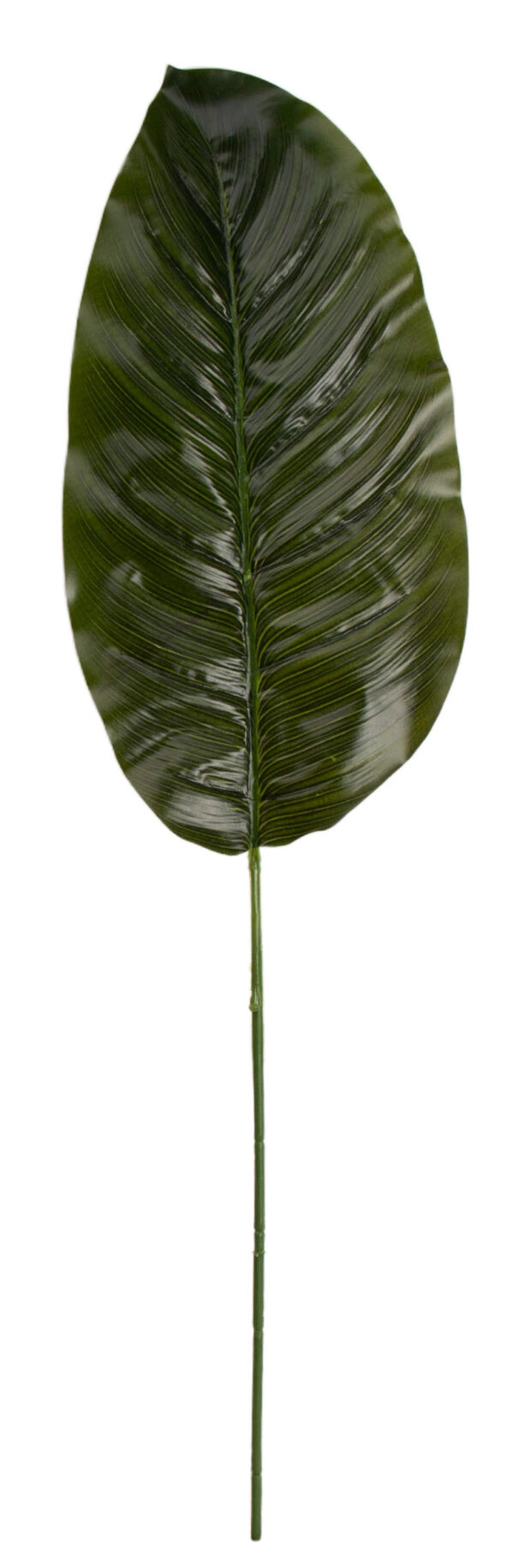 BANAN LIŚĆ ZIELONY 12X 67 CM DODATEK - obrazek 2