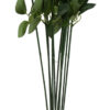 ŁODYGA DO KWIATÓW RÓŻA 12 SZT. 60 CM