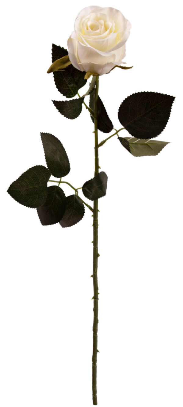 RÓŻA GAŁĄZKA 69 CM KREM - obrazek 2