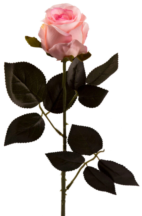 RÓŻA GAŁĄZKA 69 CM J. RÓŻ