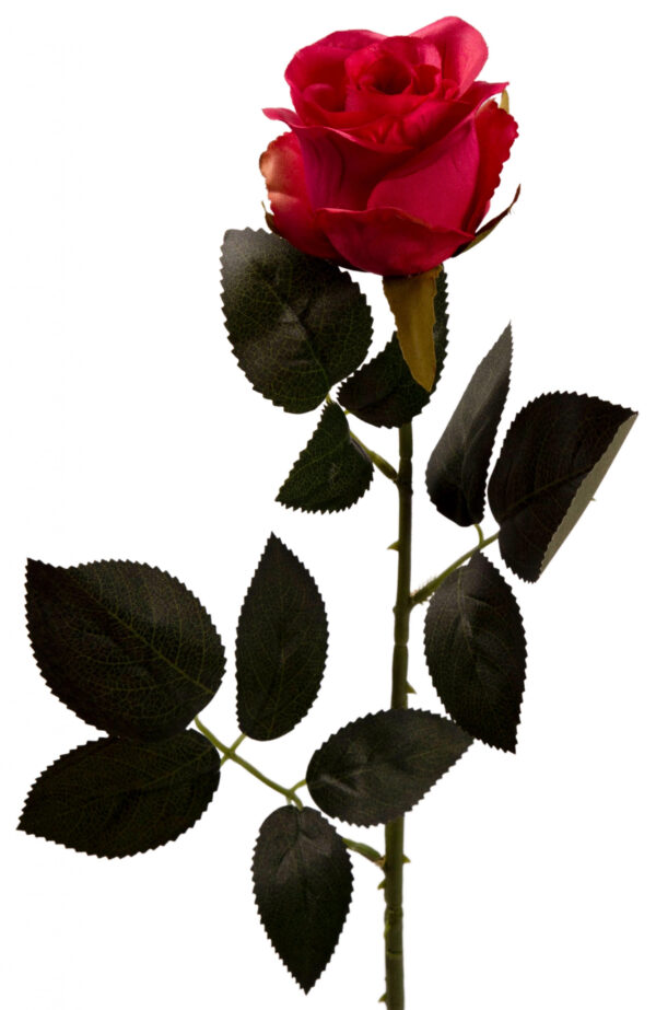 RÓŻA GAŁĄZKA 69 CM C. RÓŻ
