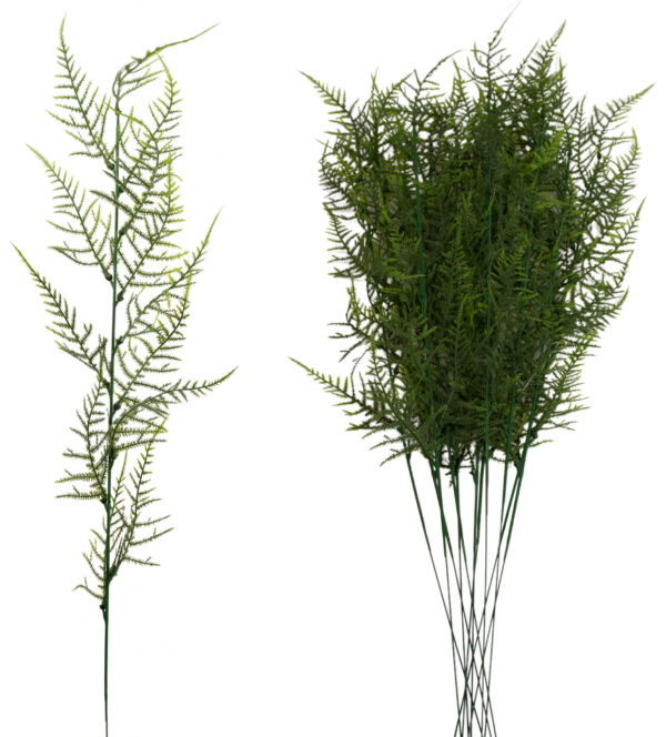 PLUMOSUS ASPARAGUS GAŁĄZKA 12X KWIATY SZTUCZNE