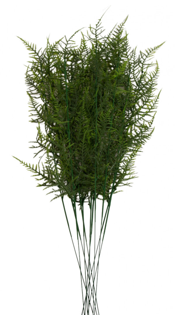 PLUMOSUS ASPARAGUS GAŁĄZKA 12X KWIATY SZTUCZNE - obrazek 2