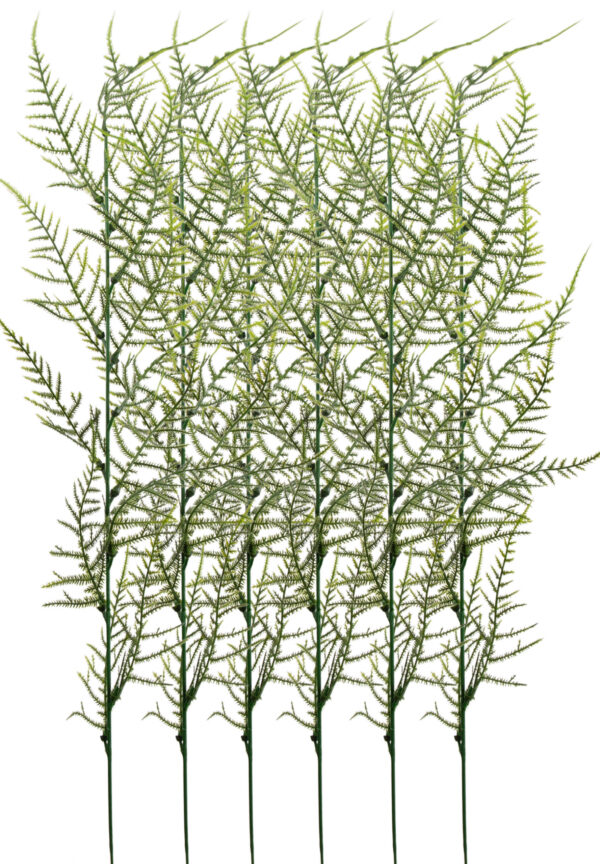 PLUMOSUS ASPARAGUS GAŁĄZKA 12X KWIATY SZTUCZNE - obrazek 4