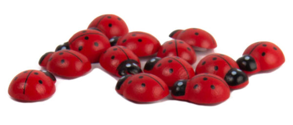 BIEDRONKI DREWNIANE NA PRZYLEPCU 2,5CM 18SZT - obrazek 3