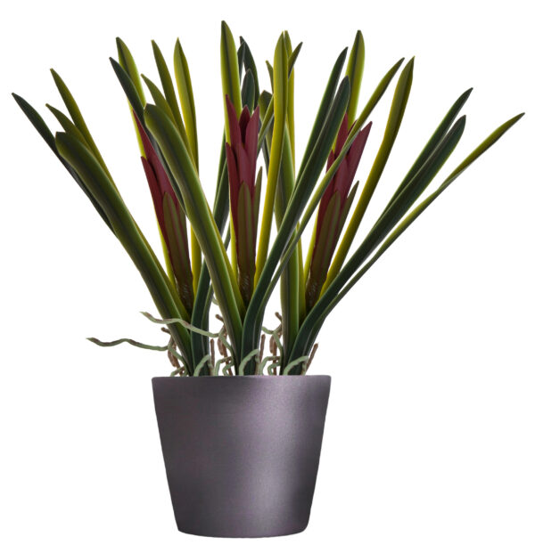 GUZMANIA GAŁĄZKA KWITNĄCA KWIATY SZTUCZNE GUMOWE - obrazek 3